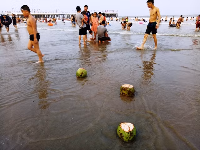 Những chiếc vỏ dừa trôi nổi trên bãi biển