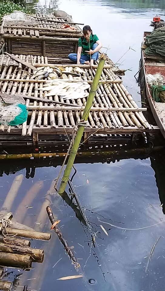 Nước sông Mã đoạn qua thị trấn Cành Nàng, huyện Bá Thước đổi màu đen.