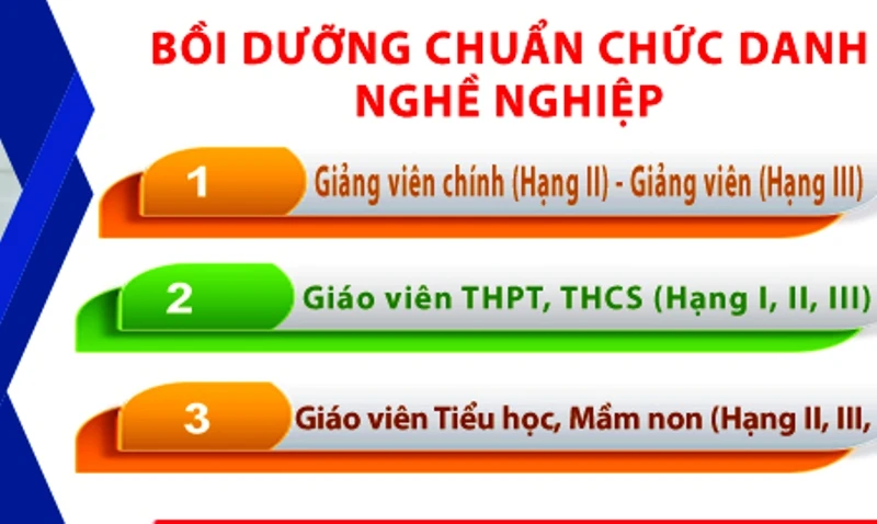 Nhiều giáo viên ở Thanh Hóa đã tự ý tham gia bồi dưỡng tiêu chuẩn chức danh nghề nghiệp theo hình thức học online. Ảnh minh họa.