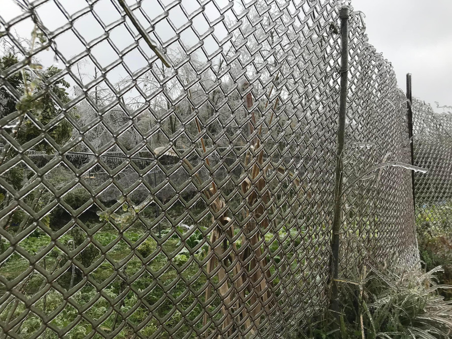 Băng giá xuất hiện ở nhiều xã biên giới của Hà Giang.