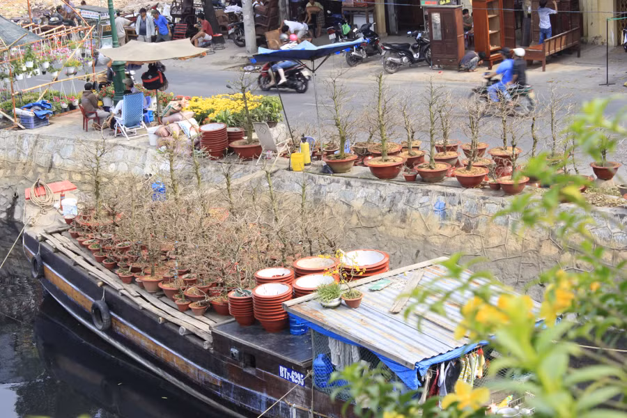 Hoa Tết được bày bán tại Bến Bình Đông, quận 8, TPHCM. Ảnh: Lê Nam