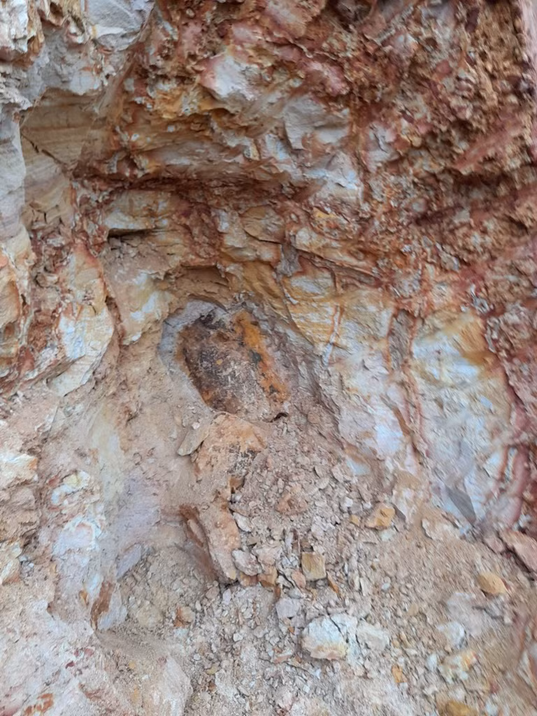 Đầu quả bom được phát hiện trong khu đất nhà ông Tập.