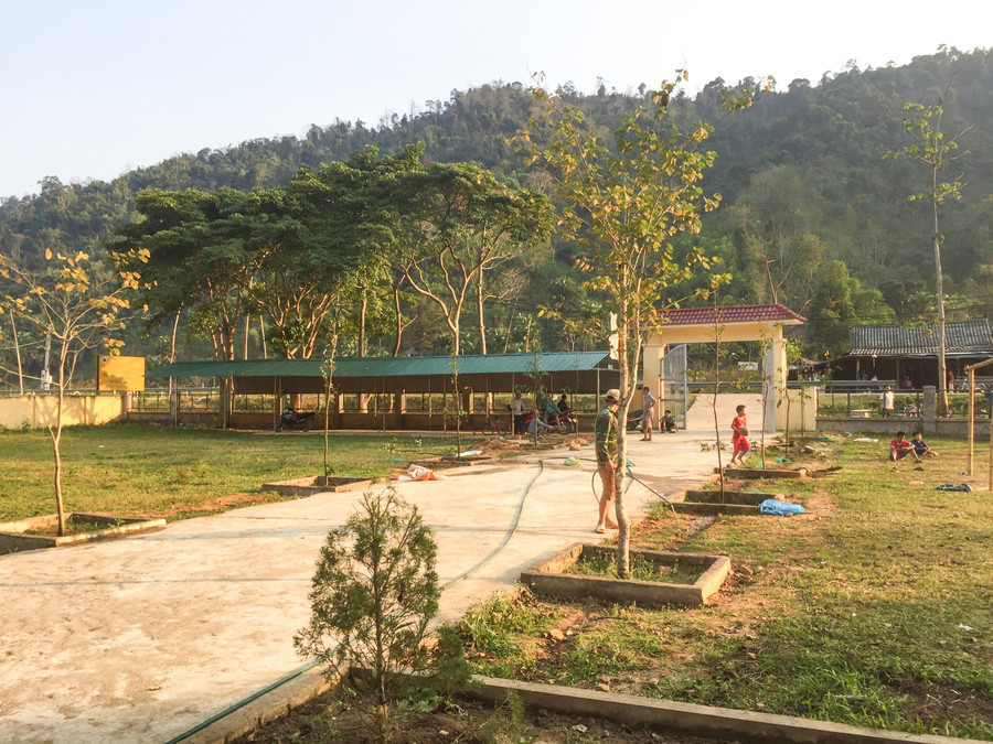 60 cây xanh bóng mát mới được trồng tại 4 điểm trường 60 cây xanh bóng mát mới được trồng tại 4 điểm trường