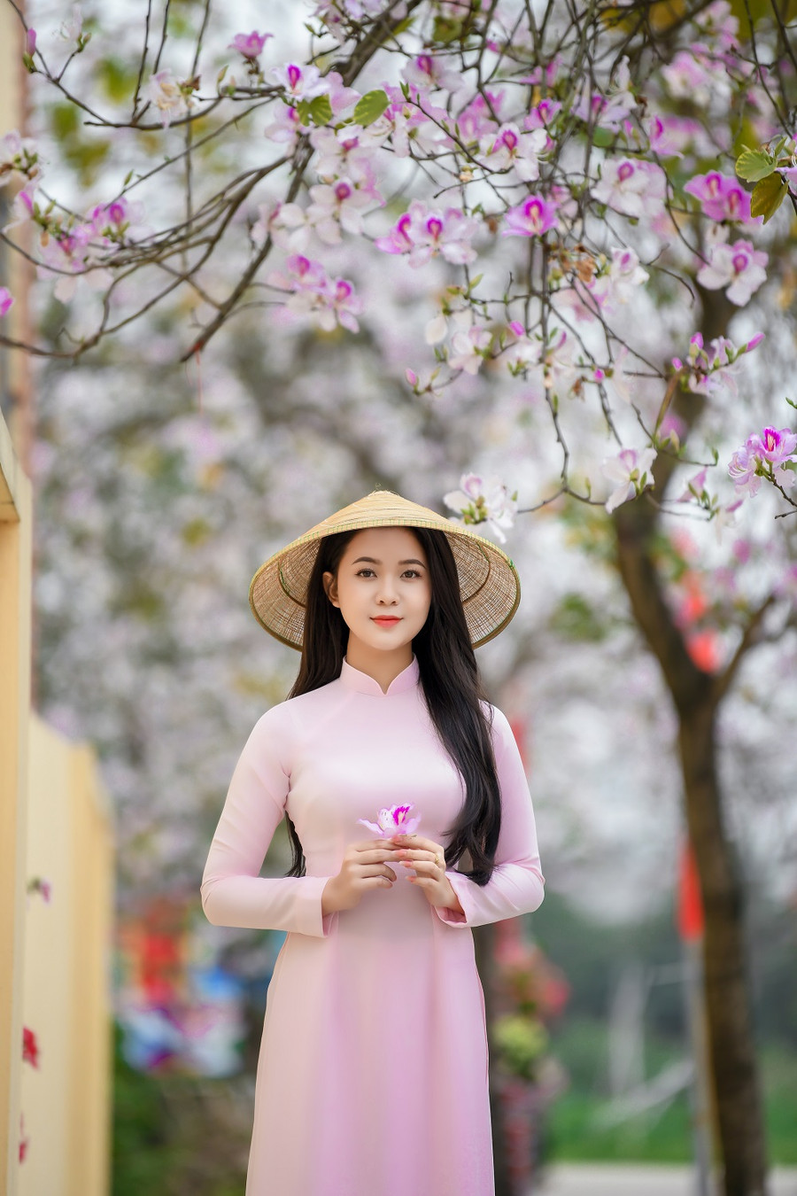 Hoa Khôi Trí tuệ Nhan sắc 2022. Hoa Khôi Trí tuệ Nhan sắc 2022.