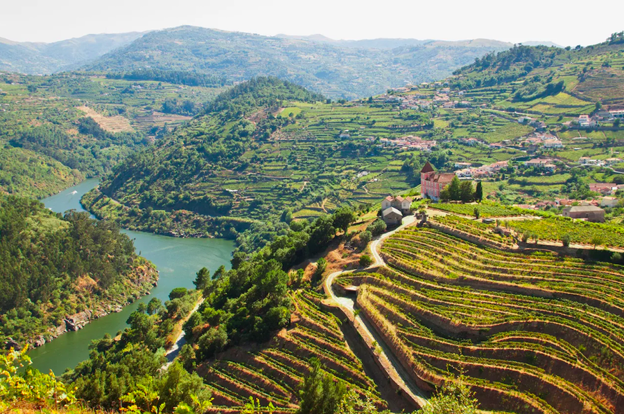 Thung lũng Douro ở phía Bắc Bồ Đào Nha.
