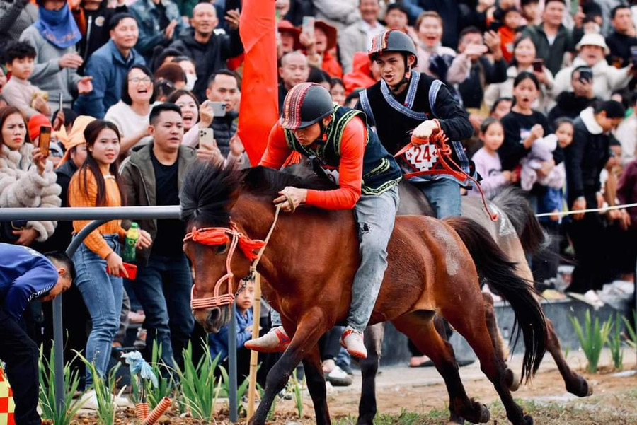 Ngày hội đua ngựa Tây Bắc sẽ quy tụ 100 nài ngựa.