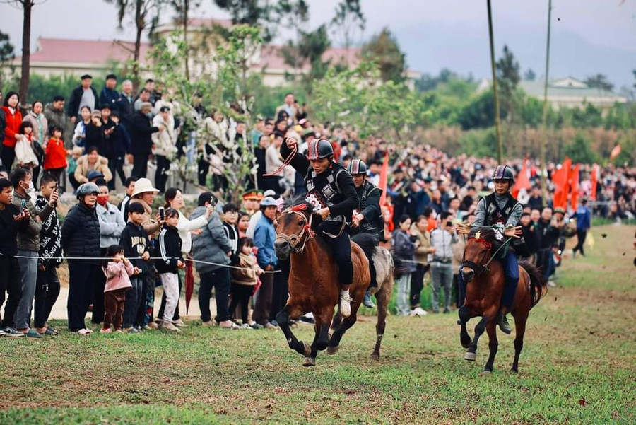 Ngày hội đua ngựa Tây Bắc sẽ diễn ra từ 26/4 - 1/5 tại Dự án Shanrila Mường Lò.