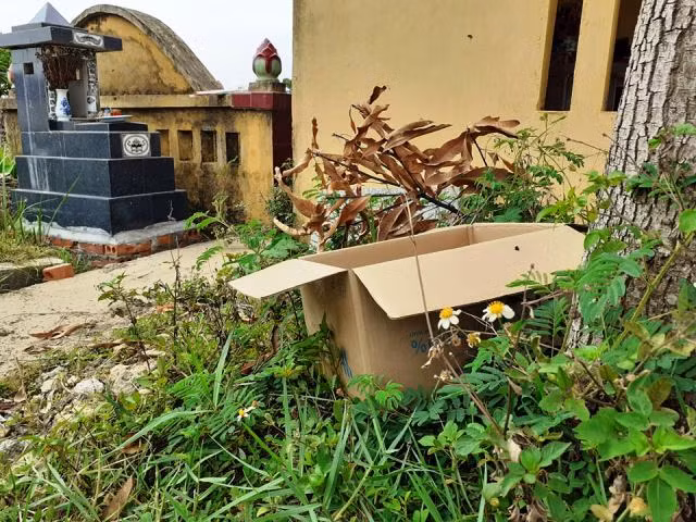 Chiếc thùng giấy được phát hiện ở trong có một thi thể trẻ sơ sinh.