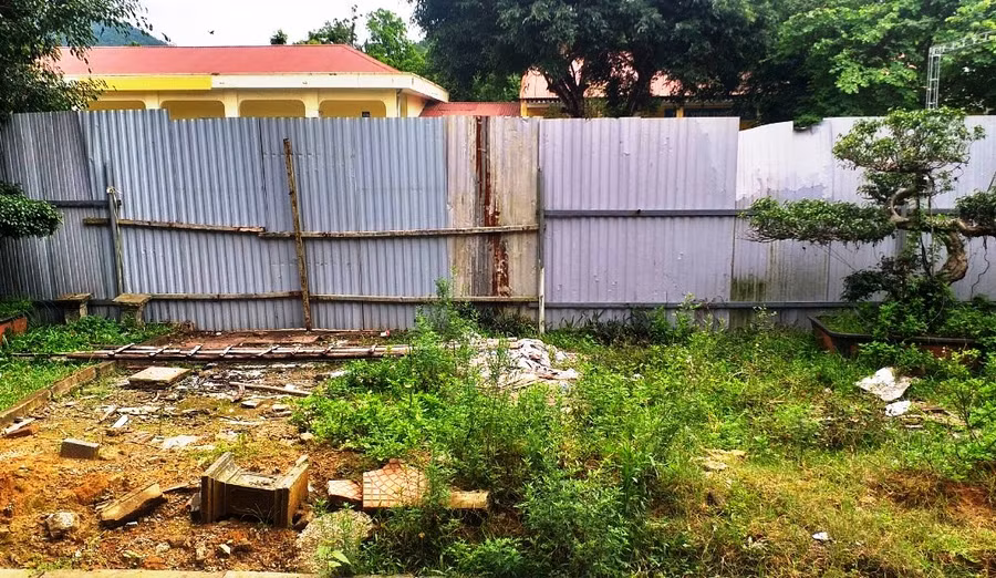 Sân chơi của học sinh cỏ dại đang mọc um tùm.