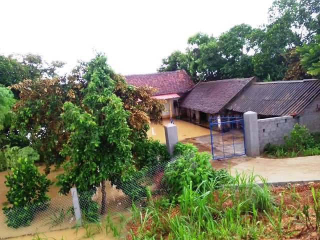 Nước sông Cầu Chày dâng cao đã khiến nhiều nhà dân ở xã Quảng Phú bị ảnh hưởng.