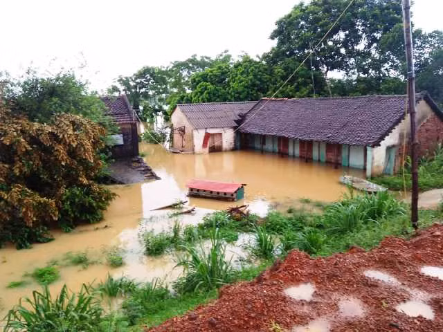 Nước sông Cầu Chày dâng cao, khiến hàng chục hộ dân ở xã Quảng Phú, huyện Thọ Xuân (Thanh Hóa) bị ngập sâu.