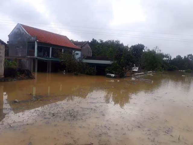 Lúa và hoa màu bị chìm, nhà của người dân cũng bị nước ngập vào. Lúa và hoa màu bị chìm, nhà của người dân cũng bị nước ngập vào.