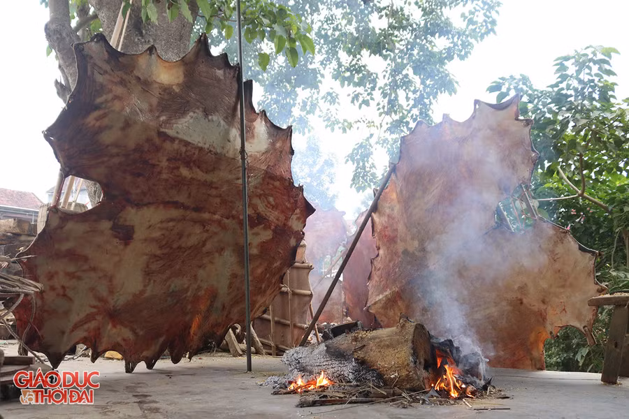 Đốt lửa hong khô da trâu, bò vào mùa đông.