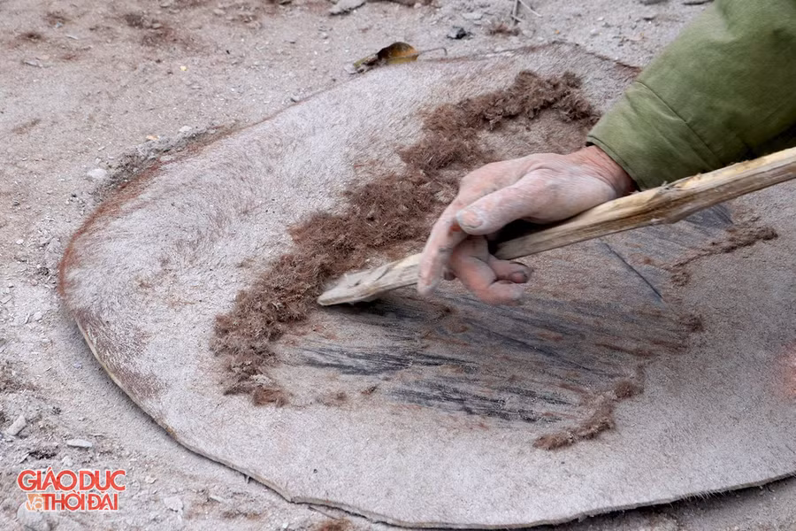 Tấm da bò được nạo lông bên ngoài và mỡ thừa bên trong.