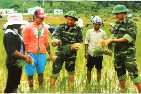 Hướng dẫn đồng bào Rục cấy lúa. Ảnh: Hồng Quang