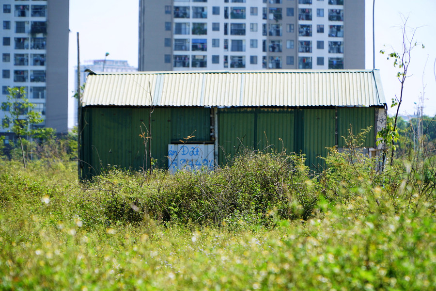 Khu lều tạm của công nhân xây dựng cơ sở vật chất trong mặt bằng 3241 ở TP Thanh Hóa đang bị cỏ dại che khuất. (Ảnh: HĐ)