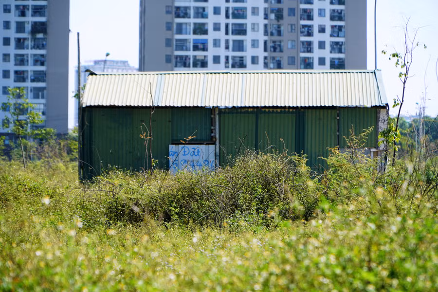 Khu lều tạm của công nhân xây dựng cơ sở vật chất trong mặt bằng 3241 ở TP Thanh Hóa đang bị cỏ dại che khuất. (Ảnh: HĐ)