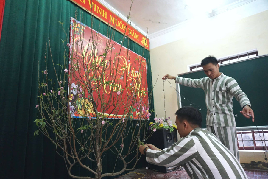 Phạm nhân trang cành đào đón tết Phạm nhân trang cành đào đón tết