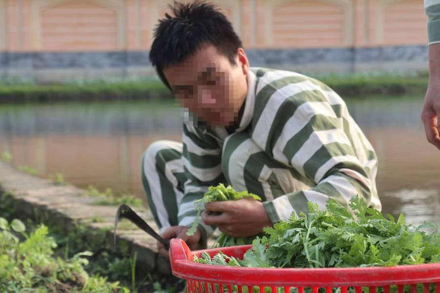 Trong trại giam, phạm nhân lao động, cải tạo, sản xuất thực phẩm cho bữa ăn của mình Trong trại giam, phạm nhân lao động, cải tạo, sản xuất thực phẩm cho bữa ăn của mình