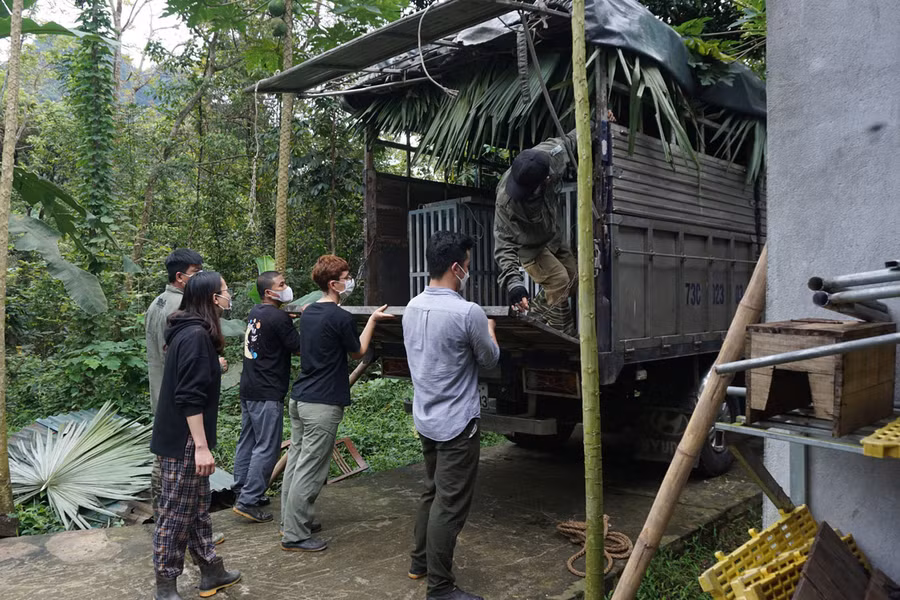 Vận chuyển hổ lên xe tải.