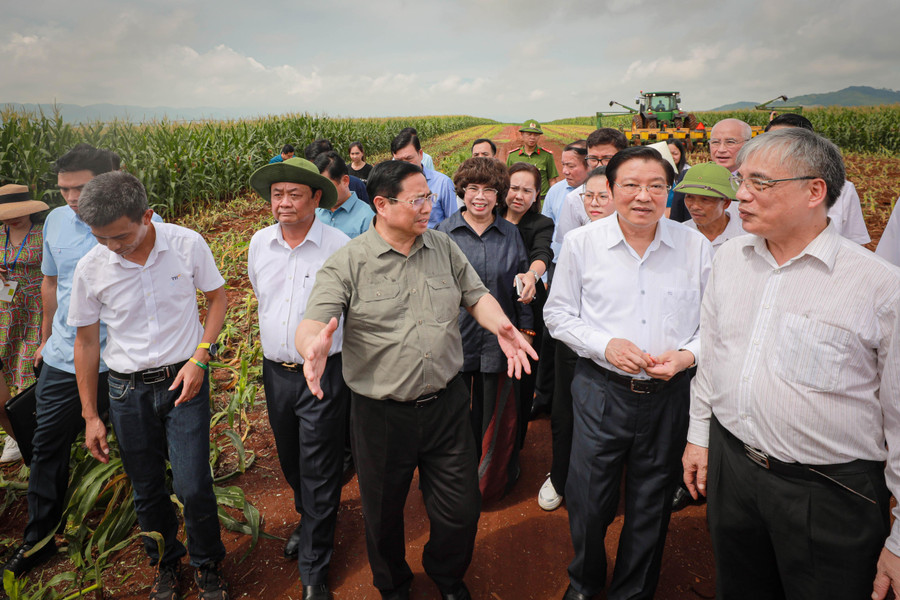 Thủ tướng Phạm Minh Chính cùng đoàn công tác thăm vùng sản xuất nông nghiệp công nghệ cao tại tỉnh Nghệ An.