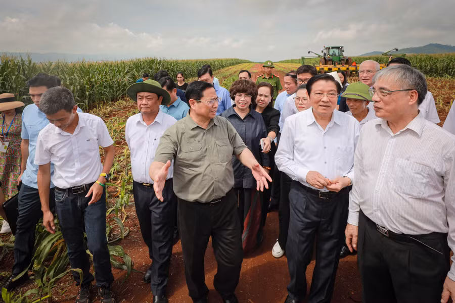 Thủ tướng Phạm Minh Chính cùng đoàn công tác thăm vùng sản xuất nông nghiệp công nghệ cao tại tỉnh Nghệ An.