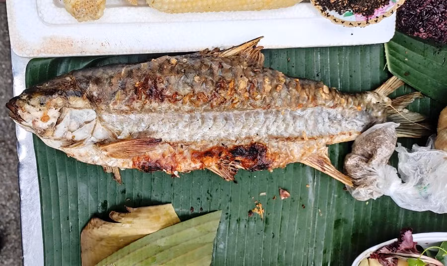 Cá suối nướng.