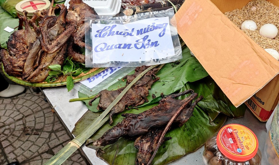 Chuột rừng nướng. Sóc nướng.