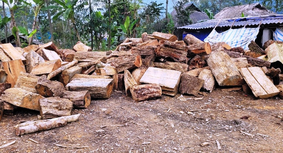 Những khúc gỗ được cho là tận dụng tập kết sau một nhà dân ở thôn Yên Thành, xã Yên Thắng, huyện Lang Chánh (Thanh Hóa). Ảnh chụp ngày 5/1.