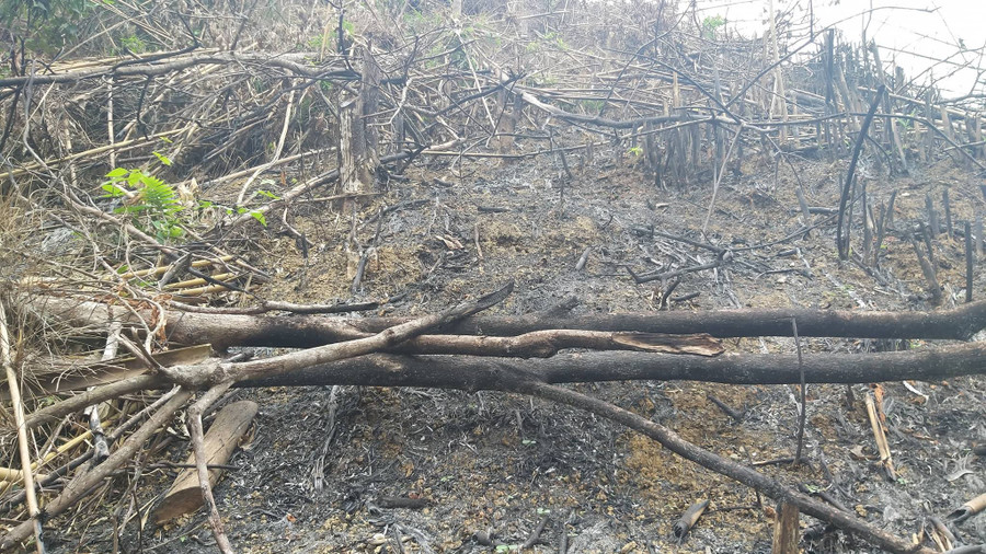 Một trong 2 nghi phạm phá rừng lại là Phó chủ tịch UBND xã