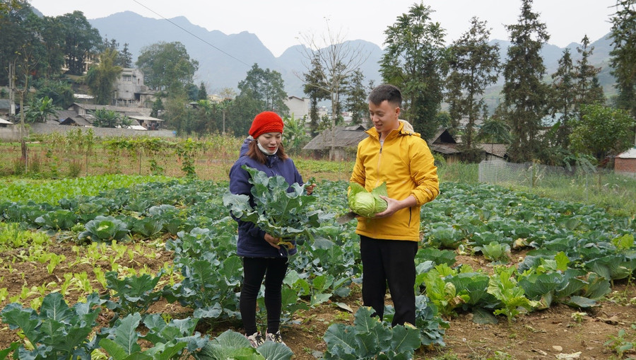 Các chương trình về hỗ trợ giảm nghèo giúp tạo việc làm cho lao động địa phương. Ảnh: Hà Linh