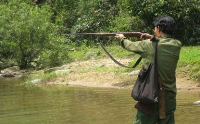 Ảnh minh họa.