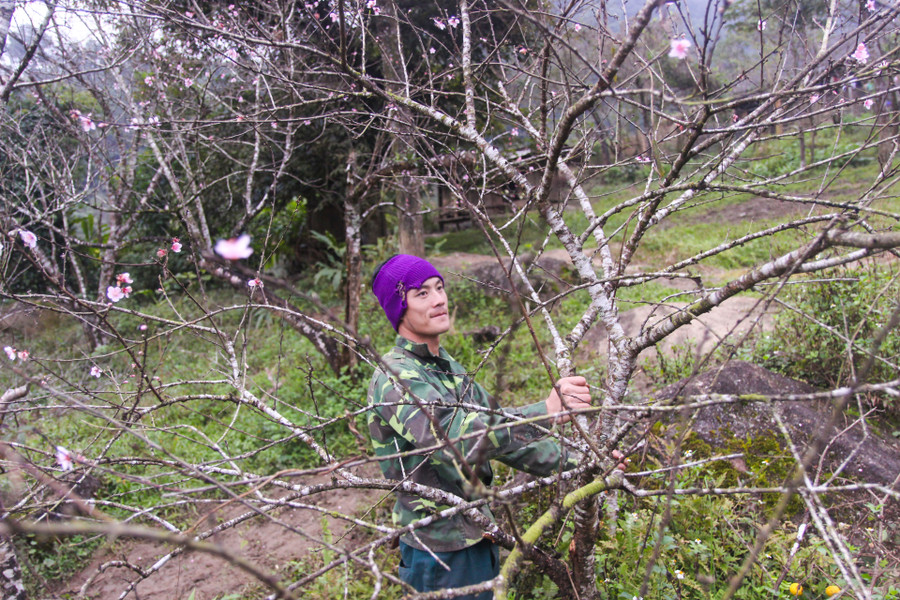 Xã biên giới Na Ngoi nằm dưới đỉnh Pù Xai Lai Leng là một trong những thủ phủ của đào đá ở Nghệ An