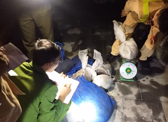 Cơ quan chức năng tiến hành cân số lượng động vật quý hiếm. Ảnh: Công an Thanh Hóa cung cấp.