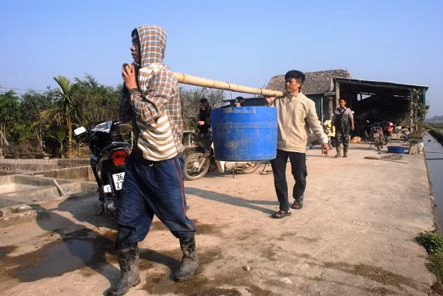 Người dân đưa cá về nơi tập kết để bán cho thương lái.