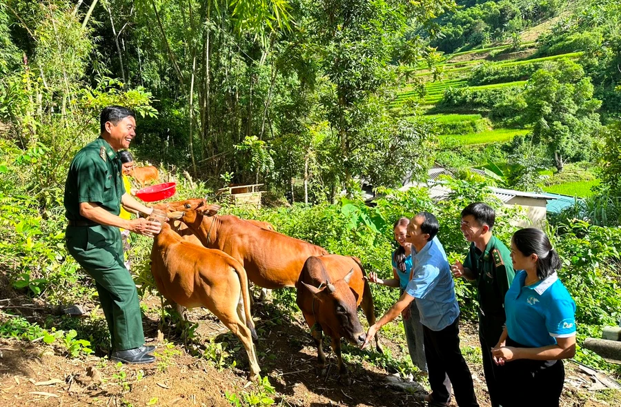 Hỗ trợ bò sinh sản cho phụ nữ nghèo ở xã Mường Chanh, Mường Lát (Thanh Hóa). Ảnh: TL.