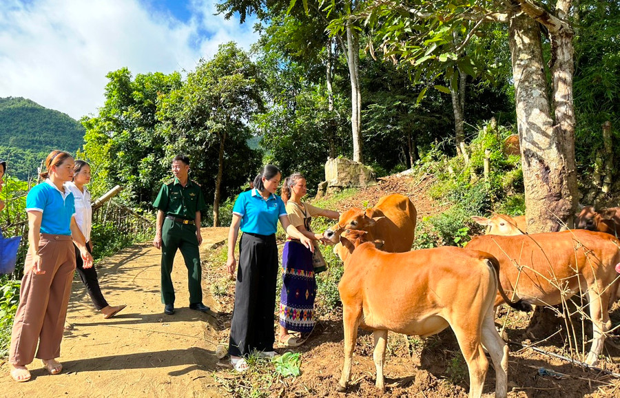 Hội LHPN huyện Mường Lát trao bò sinh sản cho phụ nữ nghèo ở Mường Chanh.TL. Hội LHPN huyện Mường Lát trao bò sinh sản cho phụ nữ nghèo ở Mường Chanh.TL.