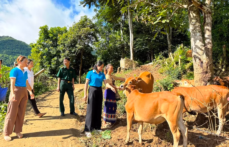 Hội LHPN huyện Mường Lát trao bò sinh sản cho phụ nữ nghèo ở Mường Chanh.TL.