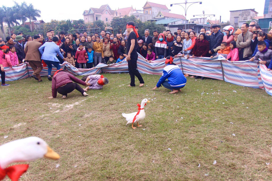 Vịt ở một nơi, người đi tìm một nơi.