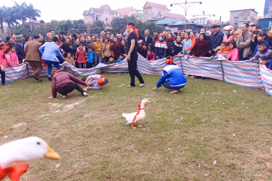 Vịt ở một nơi, người đi tìm một nơi.