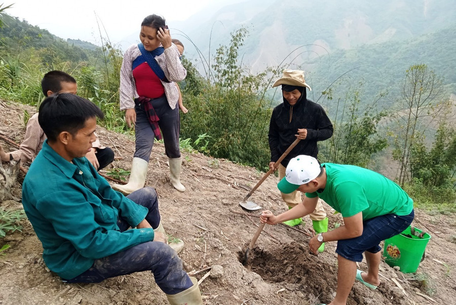 Người dân Mường Lý được phía doanh nghiệp hướng dẫn cách trồng, chăm sóc cây lá giang. (Ảnh: Văn Tùng) Người dân Mường Lý được phía doanh nghiệp hướng dẫn cách trồng, chăm sóc cây lá giang. (Ảnh: Văn Tùng)