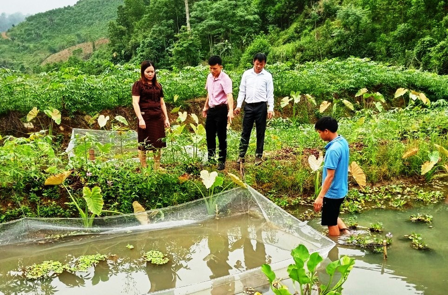 Lãnh đạo xã Bát Mọt, huyện Thường Xuân (Thanh Hóa) đi thăm và hướng dẫn người dân địa phương chăm sóc ốc nhồi thương phẩm. (Ảnh: V.Th) Lãnh đạo xã Bát Mọt, huyện Thường Xuân (Thanh Hóa) đi thăm và hướng dẫn người dân địa phương chăm sóc ốc nhồi thương phẩm. (Ảnh: V.Th)