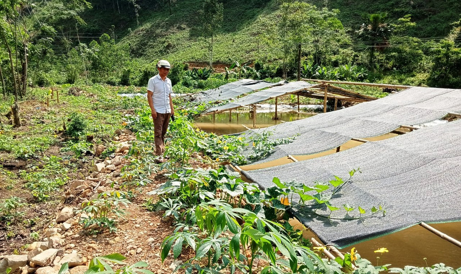 Mô hình nuôi ốc nhồi thương phẩm của người dân xã Bát Mọt, huyện Thường Xuân, tỉnh Thanh Hóa. (Ảnh: V.Th) Mô hình nuôi ốc nhồi thương phẩm của người dân xã Bát Mọt, huyện Thường Xuân, tỉnh Thanh Hóa. (Ảnh: V.Th)