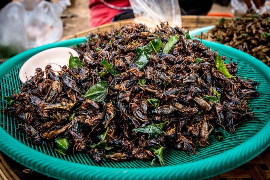 Trong các món đặc sản Campuchia, món ăn khiến nhiều du khách sợ hãi nhất nhưng lại tò mò nhất là các món chế biến từ côn trùng. Trong các món đặc sản Campuchia, món ăn khiến nhiều du khách sợ hãi nhất nhưng lại tò mò nhất là các món chế biến từ côn trùng.