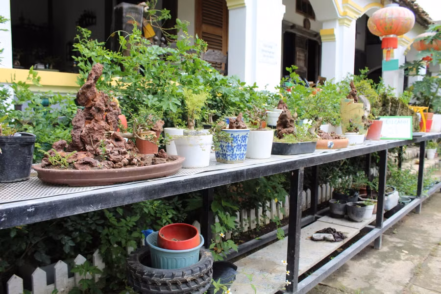 Cuộc gặp gỡ của 500 kỷ lục gia tại Việt Nam và vinh danh những đỉnh cao mới ảnh 4