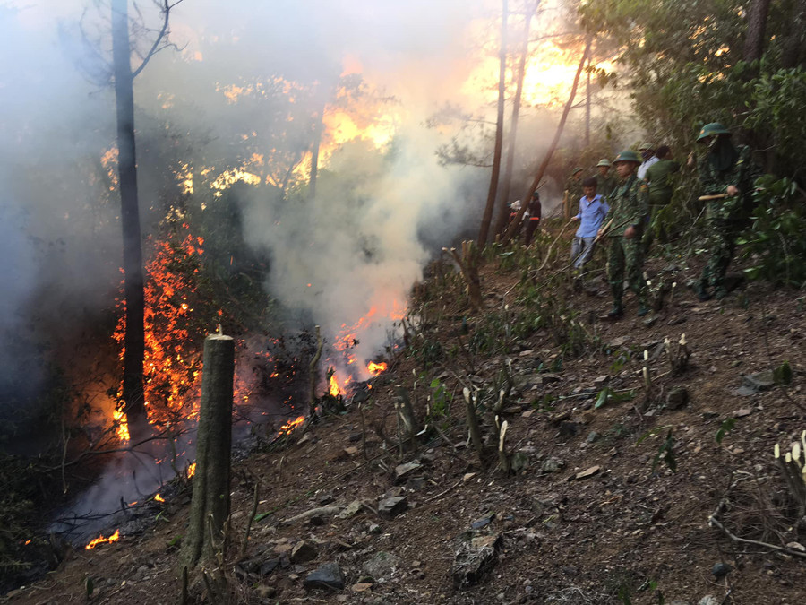 Đến ngày 30/6, lửa trên núi Hồng Lĩnh vẫn chưa được dập tắt Đến ngày 30/6, lửa trên núi Hồng Lĩnh vẫn chưa được dập tắt