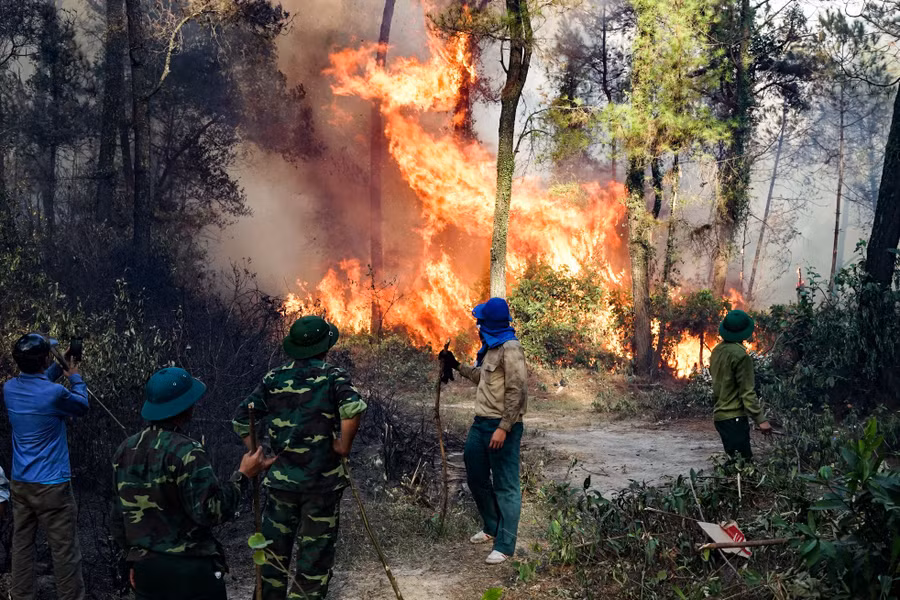 Thời tiết khô nóng kèm gió Tây Nam thổi mạnh khiến ngọn lửa cháy dữ dội trên núi Hồng Lĩnh. Ảnh: Trung Hà