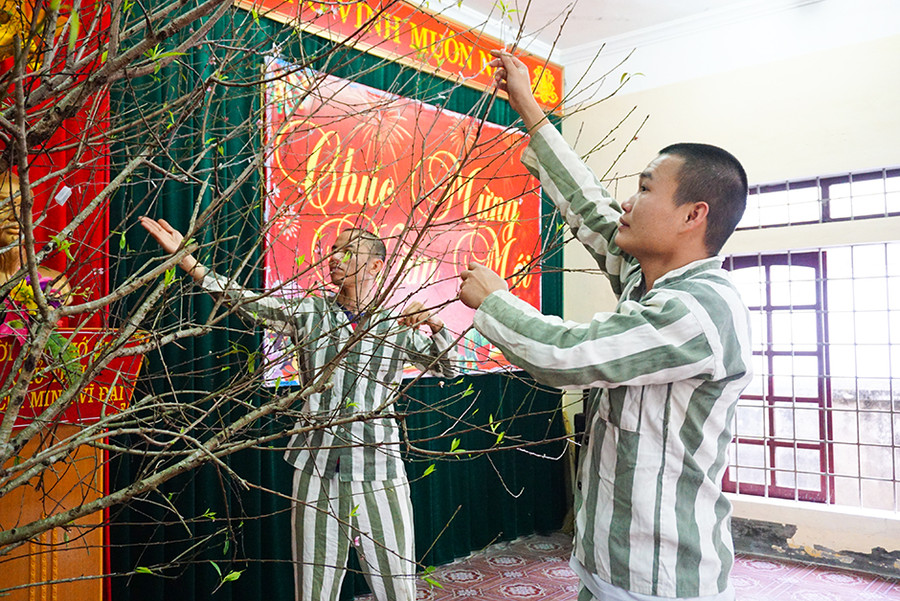 Phạm nhân Trại tạm giam Công an tỉnh Nghệ An trang trí cành đào tết