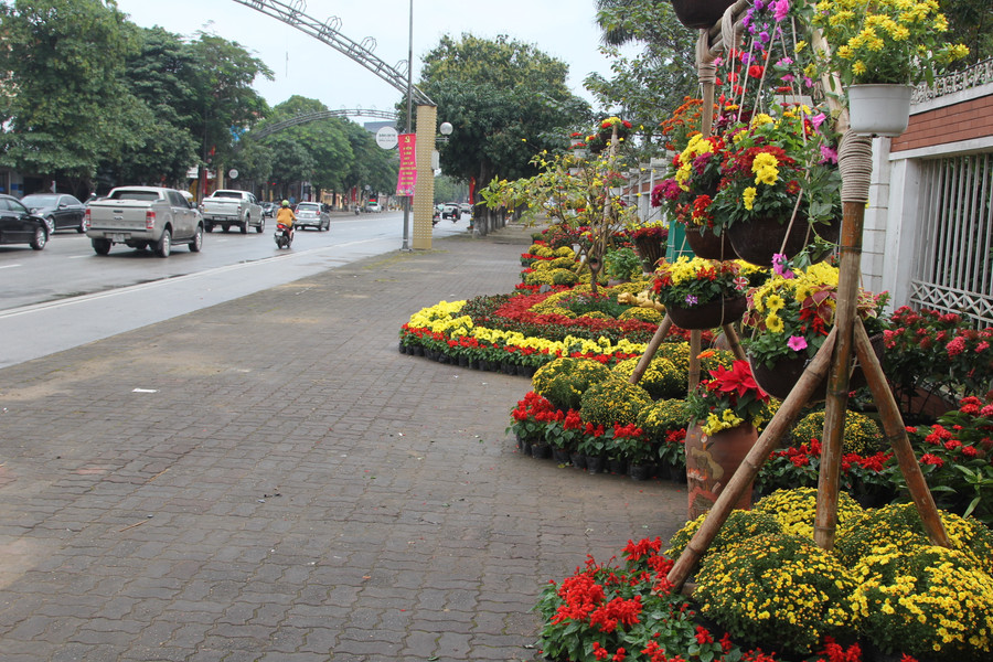 TP Vinh mong muốn người dân có ý thức giữ gìn đường hoa xanh, sạch, đẹp trong dịp Tết.
