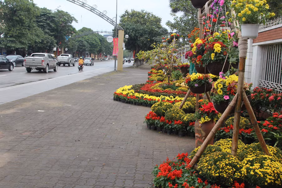 TP Vinh mong muốn người dân có ý thức giữ gìn đường hoa xanh, sạch, đẹp trong dịp Tết.